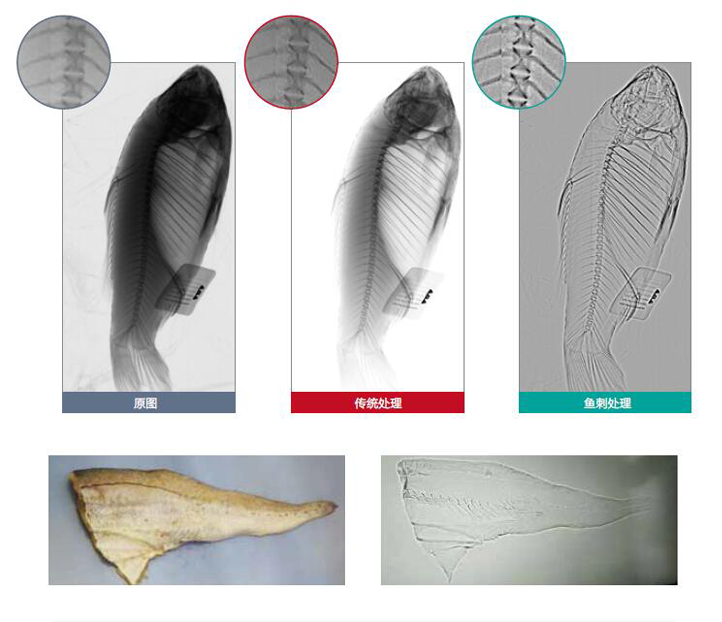 {xunruicms_img_title}