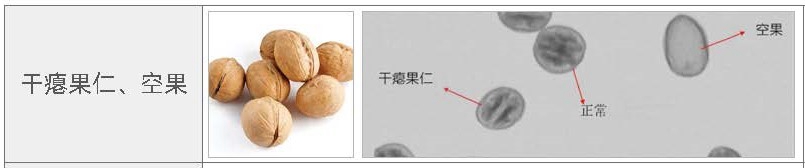 {xunruicms_img_title}