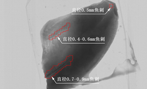 {xunruicms_img_title}