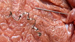 {xunruicms_img_title}