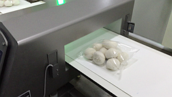 {xunruicms_img_title}